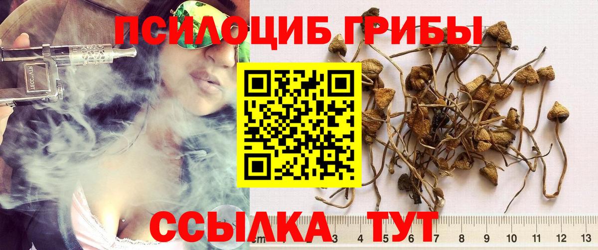 Каннабис Бузулук